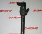 Injektor Bosch  0445110601 0445110289